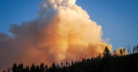 Wildfires happen in B.C every year. Why aren't more residents insured?